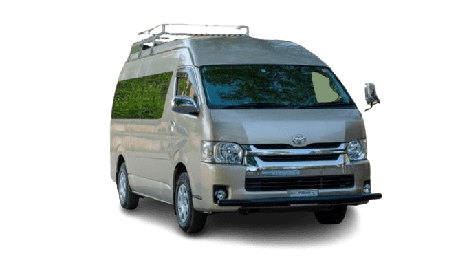 Grand Cabin​ For Rent